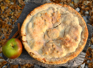 Autumn Apple Pie