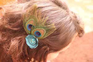 Peacock Hair Clip