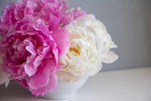 Dazzling Pink and White Peony DIY Bouquet