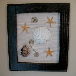 Funky Framed Seashells