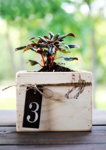 Simply Serene Planter Centerpieces