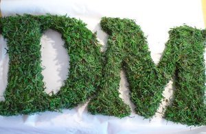 Incredibly Easy Moss Covered Letters