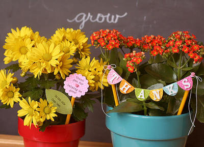 Teacher Flower Gifts