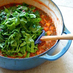 Vegetable Lentil Soup