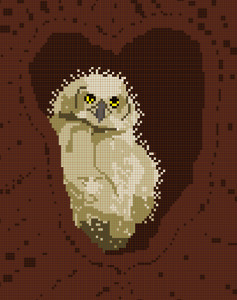 Tawny Owl Afghan