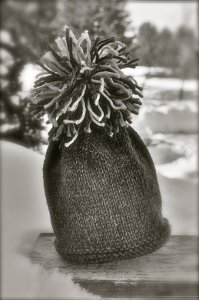 Winter Acorn Hat