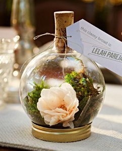 Striking DIY Terrarium Place Holders