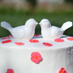 Peace and Harmony Lovebirds Cake Topper