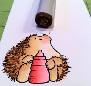 Creative Colored Hedgehog