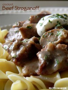 Dump & Go Beef Stroganoff