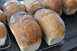 Homemade Amish White Bread