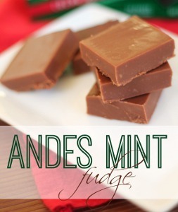 Andes Mint Fudge