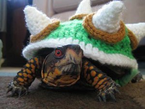 Bowser Turtle Sweater