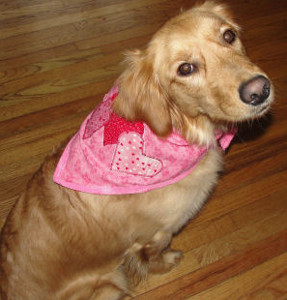 Puppy Love Bandana