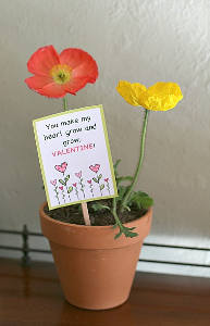 Printable Seed Packet Valentines