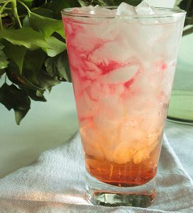 Sippable Seabreeze Drink