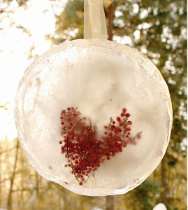 Berry Romantic Ice Decorations