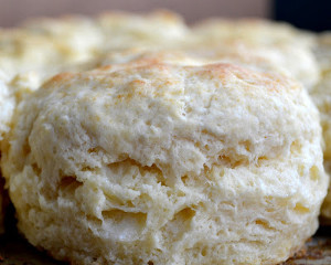Perfect Biscuits Every Time