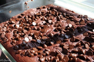 Ultimate Chocolate Pudding Dump Cake