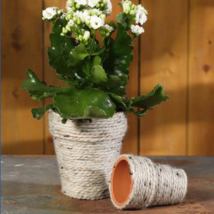 Neat and Natural Flower Pot