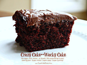 Vintage Chocolate Crazy Cake