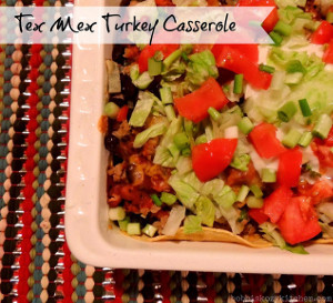 Tex-Mex Turkey Casserole