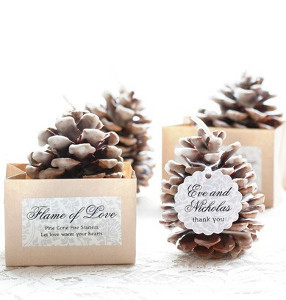 Pretty Pinecone Homemade Fire Starters