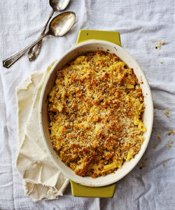 Simple Butternut Squash Macaroni and Cheese