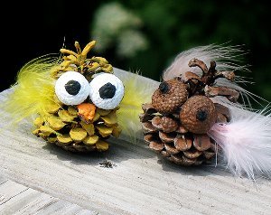 Silly Owl Pine Cone Craft