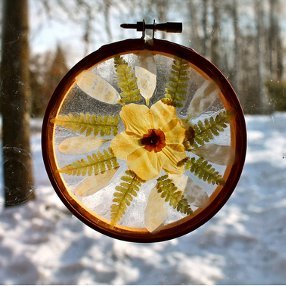 How to Make Pressed Flower Suncatchers