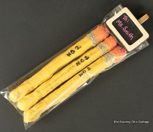Candy Coated Pretzel Pencils