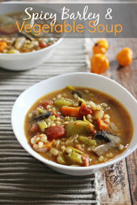 Spicy Barley and Vegetable Soup