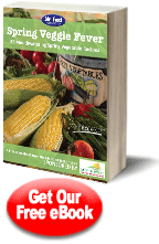 Spring Veggie Fever: 25 Mouthwatering Spring Vegetable Recipes | MrFood.com