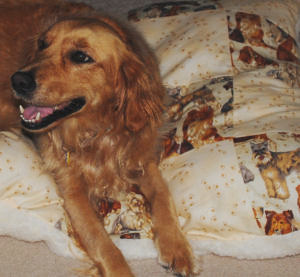 Patchwork Dog Bed
