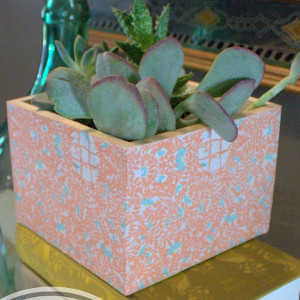 Decoupaged Succulent Planter