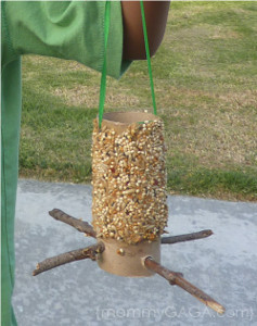 Toilet Paper Roll Bird Feeder