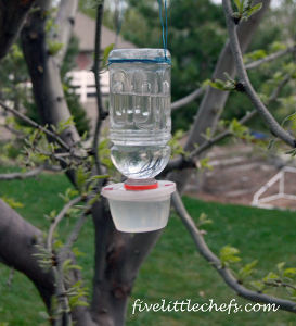 Homemade Hummingbird Feeder