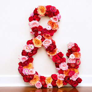 Flower Muse Ampersand