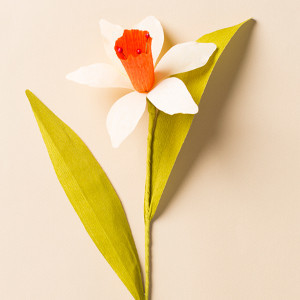 How to Make a Paper Flower Daffodil