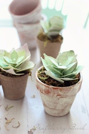 Perfect Paper Succulents