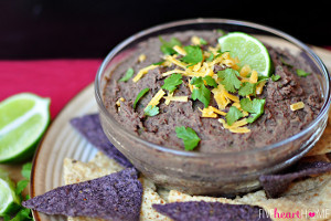 Zesty Black Bean Dip