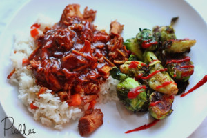 Sweet and Tangy Pork Chops