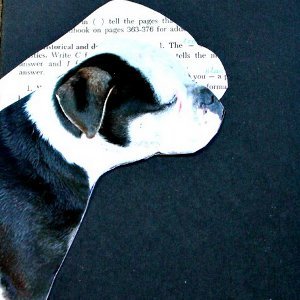 Precious Pup Journal