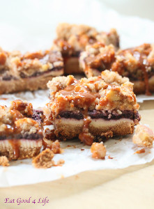 Berry Cheesecake Crumb Bars