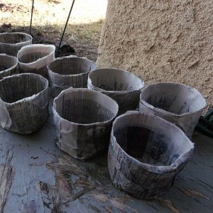 Papier Mache Seed Starters