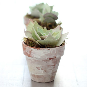 Ultra-Realistic Paper Succulent Tutorial