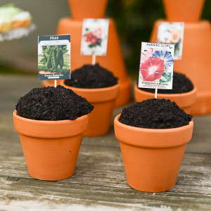 Potted Cupcake Confections