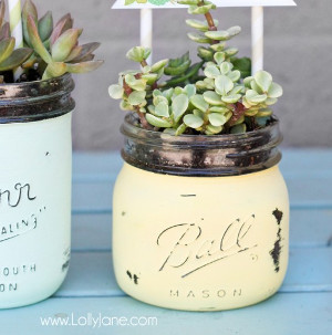 Simply Rustic Mason Jar Pots