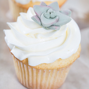 Unforgettable Fondant Succulents