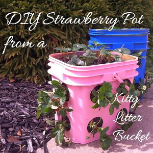 Easy Peasy Strawberry Pot